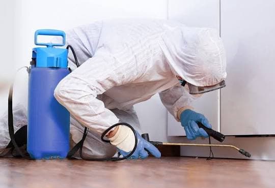 Technicien en combinaison appliquant un traitement le long des plinthes avec un pulvérisateur